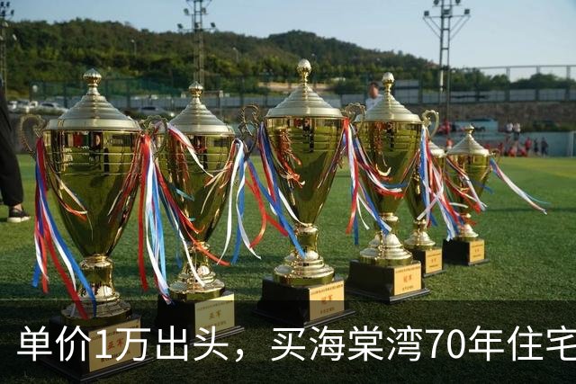 单价1万出头，买海棠湾70年住宅？这个项目，堪比杀猪盘！